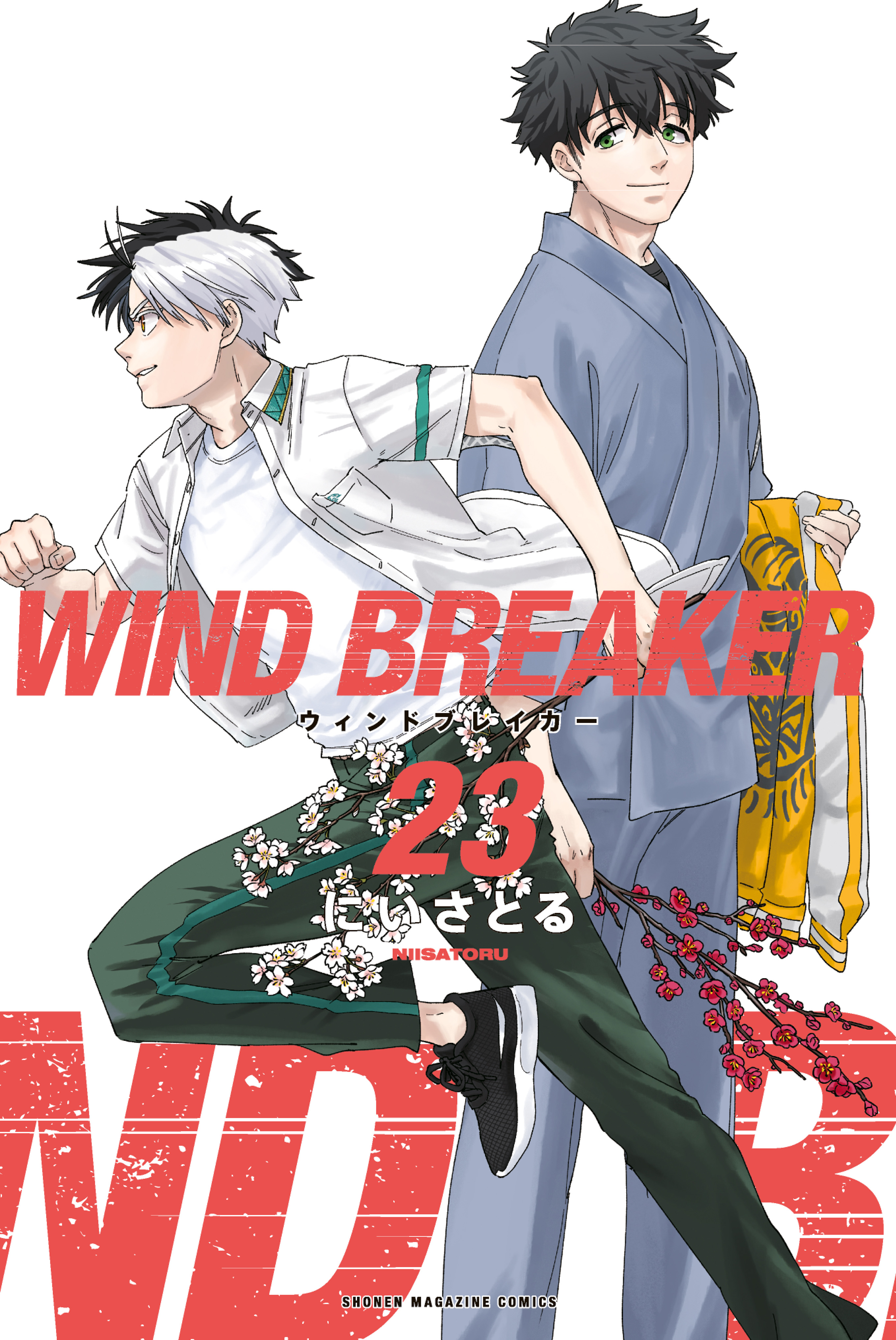 Wind Breaker (NII Satoru)